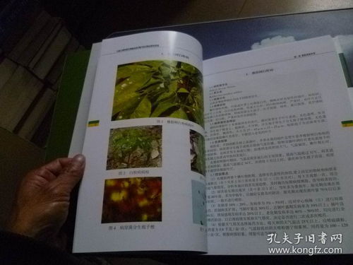 云南主要热带作物病虫害诊断与综合防治原色图谱精装